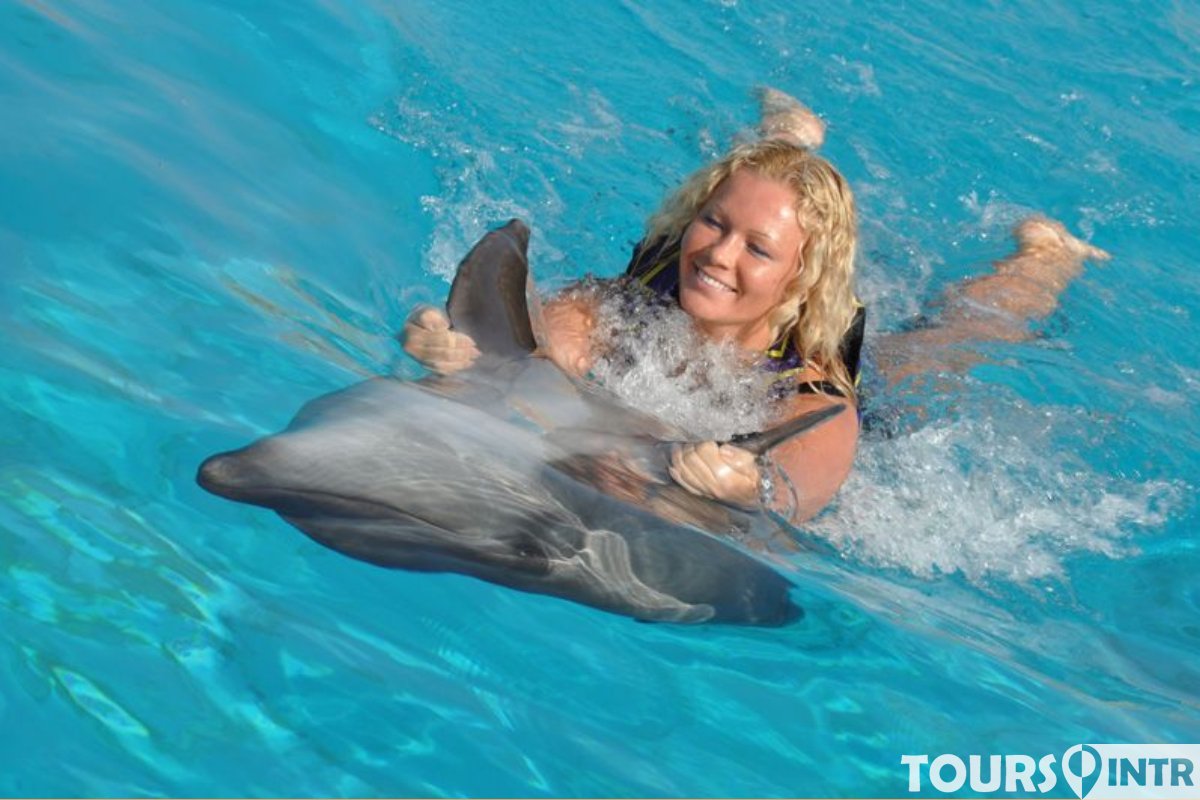 Удовольствие с дельфином. Плавать с дельфинами. Девушка и Дельфин. Купаться с дельфинами. Девушка плавает с дельфинами.