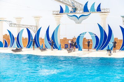 Privat Delphin Show