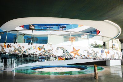 The Largest Tunnel Aquarium in the World Antalya