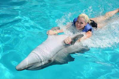 Schwimmen mit Delfinen