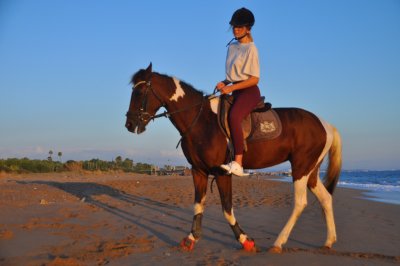 Horse Riding Tour on the Beach
