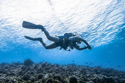 Private Diving Tour