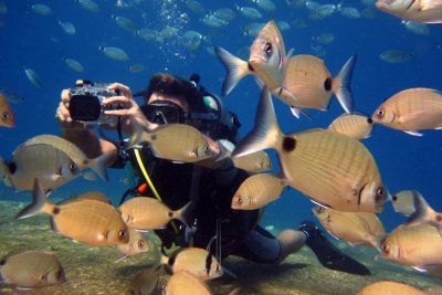 Scuba Diving in Fethiye