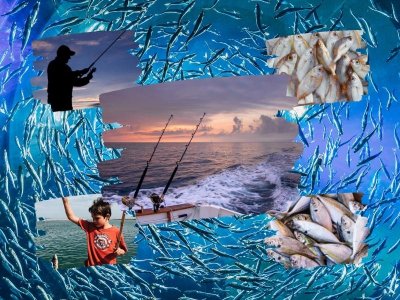 Fishing tour in Side