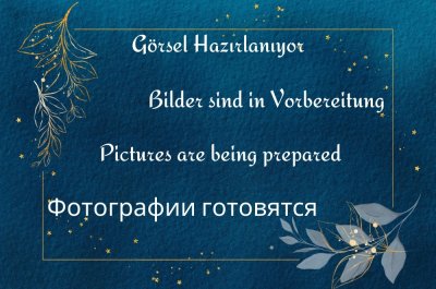 Anadolu Ateşi Dans Gösterisi Bileti