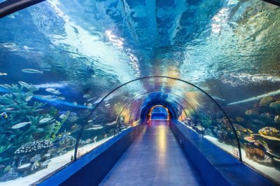 Antalya Aquarium Mit Transfer Und Ticket