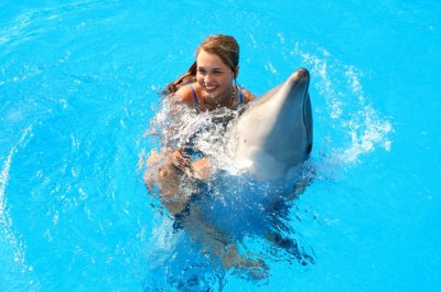 Плавание с дельфинами и шоу дельфинов в Анталии
