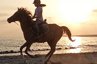 Horse Riding Tour in Side Beaches